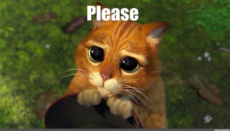 Pls Meme