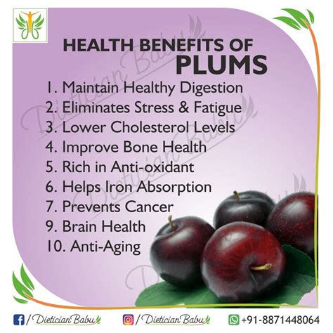 plum benefits nyu