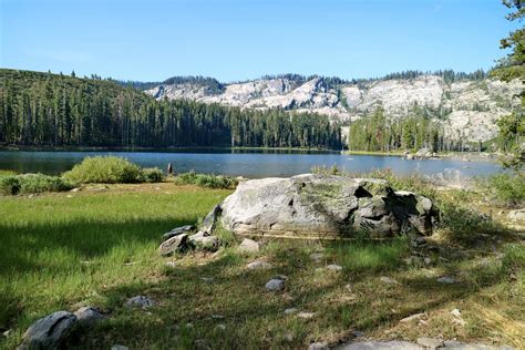 Plumas National Forest Dispatch