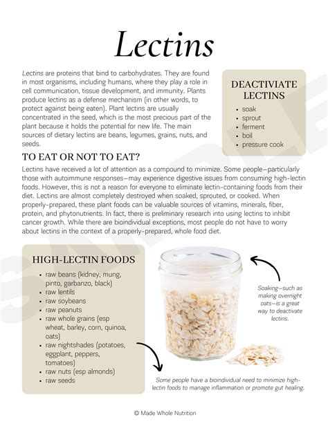 Plums Lectins