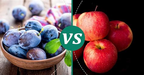 Plums Vs Apples