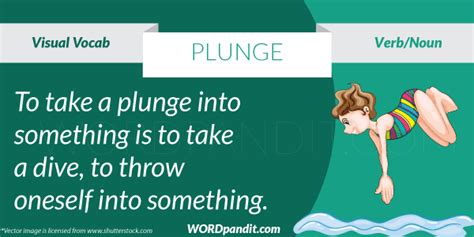 plunge meaning in spanish
