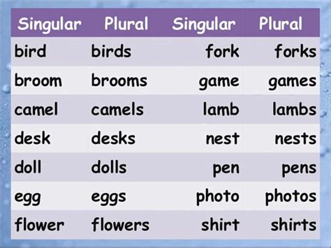 plural and singular form of nouns