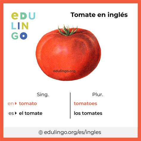 English worksheets tomato plural