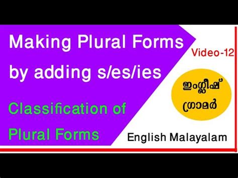 plural form meaning in malayalam with examples