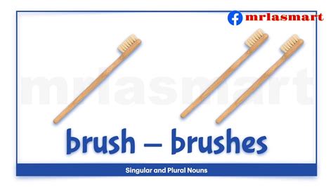 plural form of brush