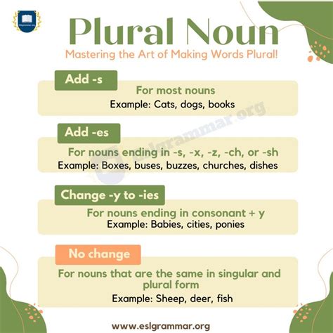 plural noun examples