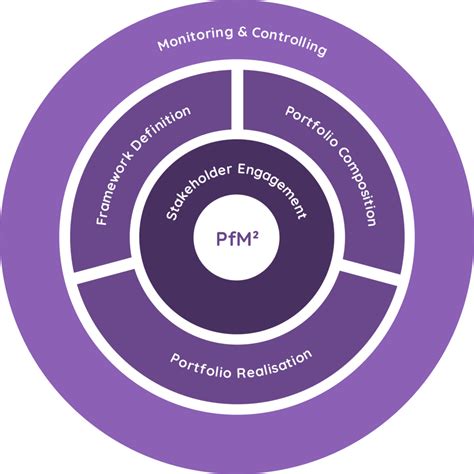 pmi portfolio management framework