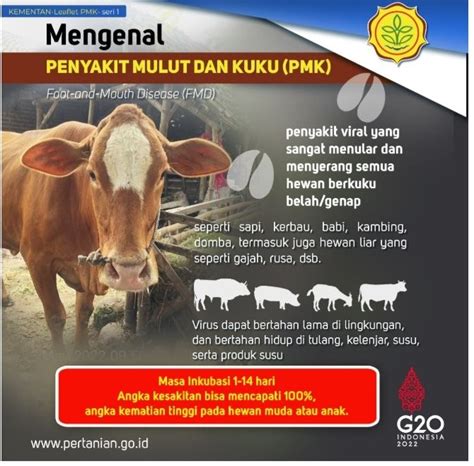 ARTI SINGKATAN PMK PADA IKLAN MOBIL SekilasINFO