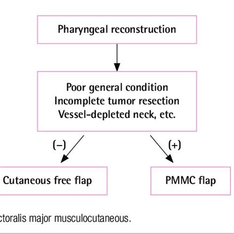 pmmc flap full form