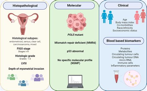 pmmr endometrial cancer