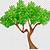 png animated trees
