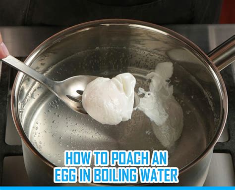 Poached Egg Boiling Water