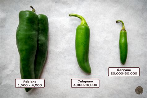 poblano peppers vs serrano peppers