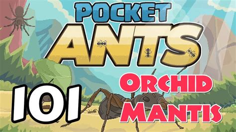 Pocket Ants Mantis