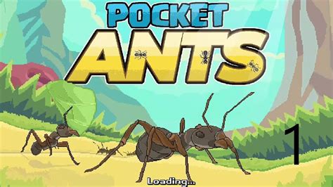 Pocket Ants Tutorial