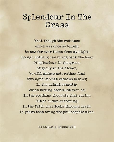 poem splendor in the grass wordsworth