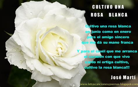poema una rosa blanca
