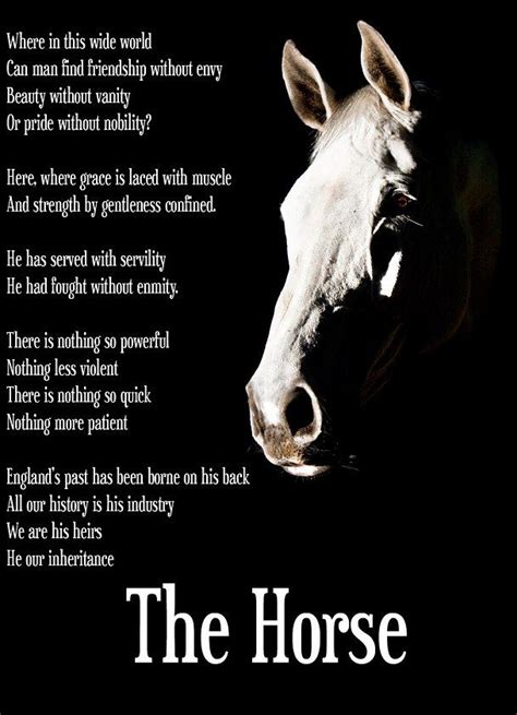 poetry about horse care
