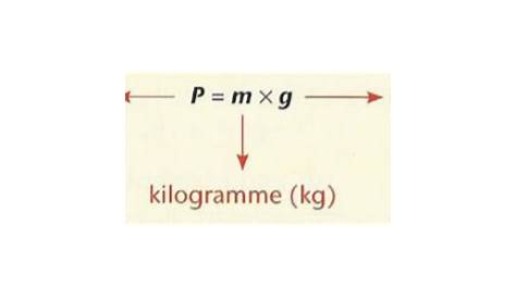 Masse Poids kilos et newtons