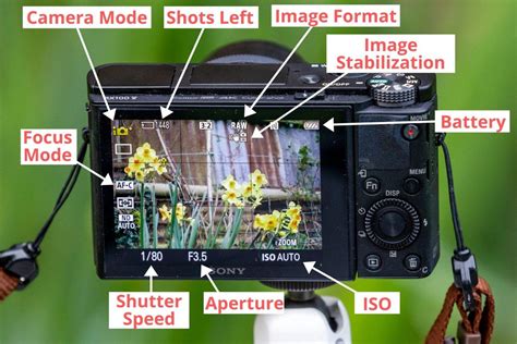 Point And Shoot Camera Features