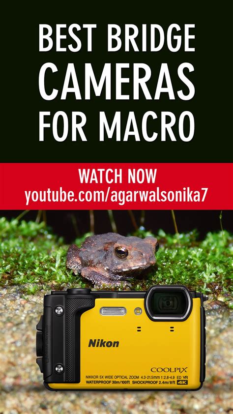 Point And Shoot Cameras With Macro