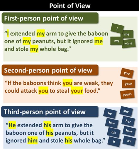Point Of View Examples In Sentences