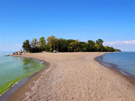 Discover the Hidden Gem: Point Pelee's Breathtaking Nature Adventure
