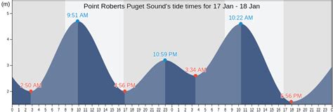 point roberts tide chart