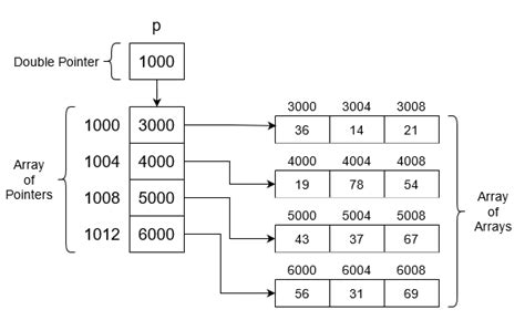 pointer array in data structure with example