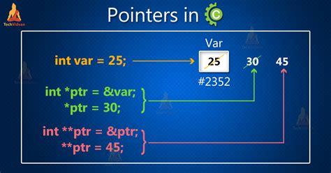 pointer data type in c sharp