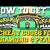 pokemon diamond action replay cheat codes wild pokemon modifier