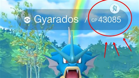Pokémon GO GYARADOS EVOLUTION high cp & Gym battles YouTube