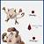 pokemon mankey evolution chart