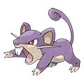 pokemon rattata weakness