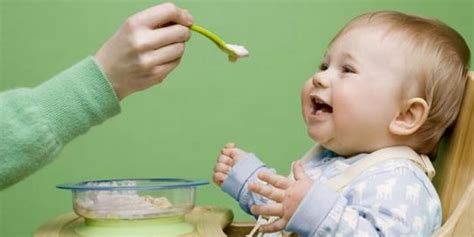 Pola Makan Bayi