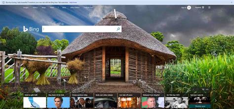 pola now on bing homepage
