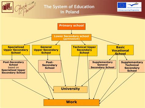 poland's education system and universities