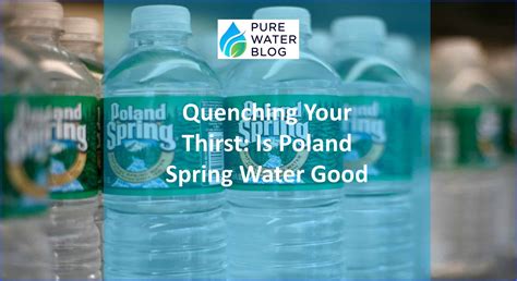 poland spring water purity