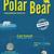 polar bear information ks2 science revision games for gcse