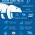 polar bear pictures facts printable