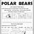 polar bear printables kindergarten freebiesbug psd codes ohio