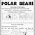 polar bear worksheet for kindergarten