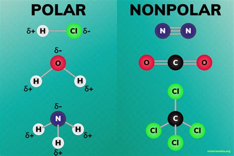 polar and nonpolar compounds examples
