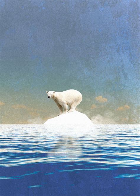 polar bear climate change art