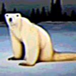 Polar Bear Meme Gif