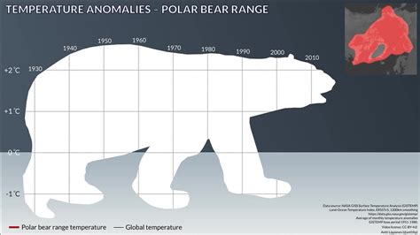 Polar Bear Temperature Range