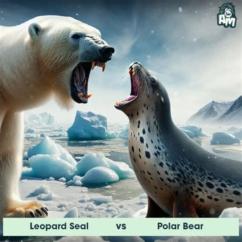 Leopard Seals Predators