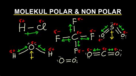 polar dan non polar kimia