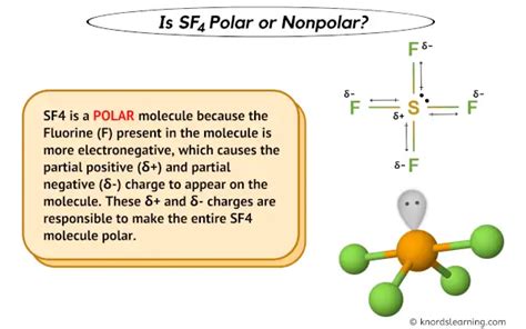 polar or nonpolar sf4
